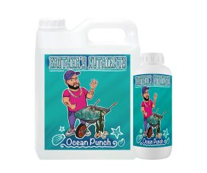Ocean-Punch-1l-y-5l-Brothers-Nutrients-2022