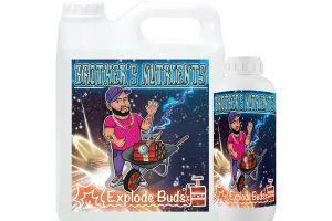 explode-buds-explota-cogollos-1l-y-5l-Brothers-Nutrients-2022
